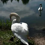 Le Querce Apartman